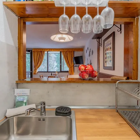 Sud - Jonquilles 116 - Happy *