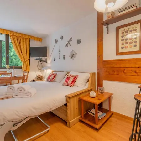 Sud - Jonquilles 116 - Happy Apartament Chamonix