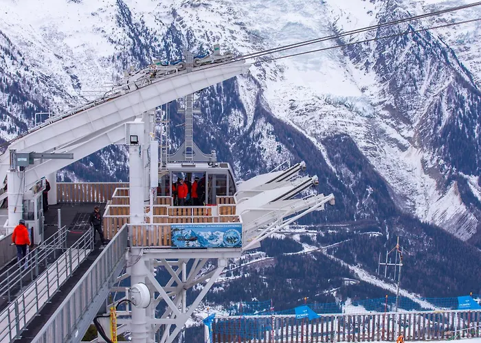 Sud - Jonquilles 116 - Happy * Chamonix