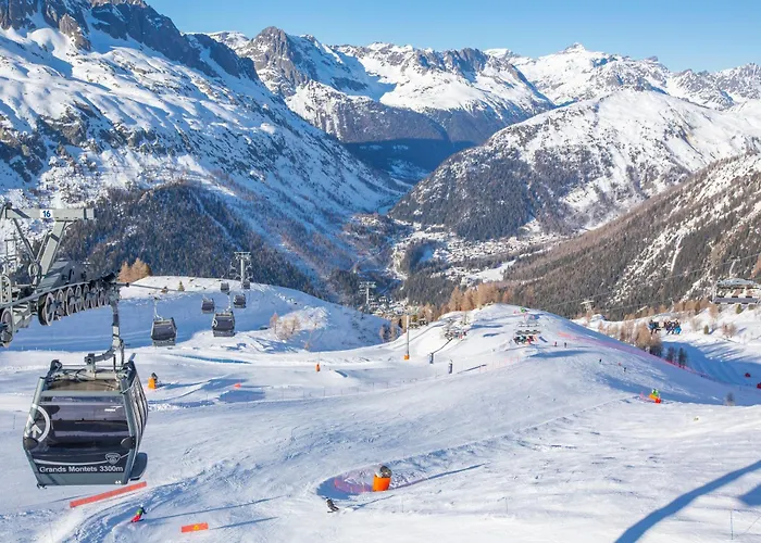 Sud - Jonquilles 116 - Happy * Chamonix