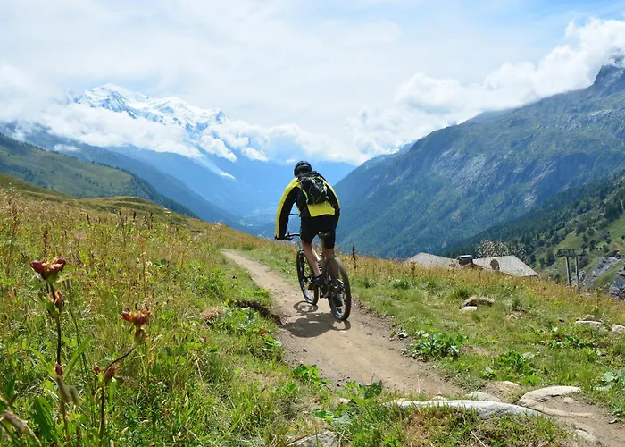 Sud - Jonquilles 116 - Happy Apartment *