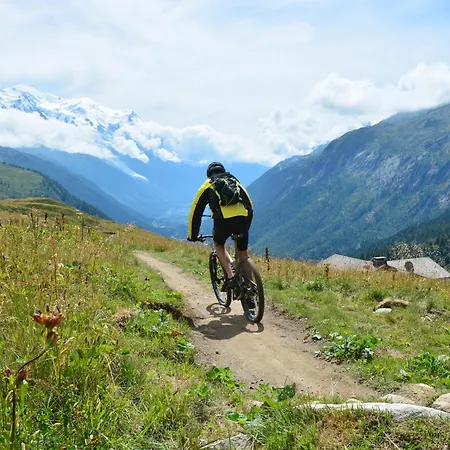 Sud - Jonquilles 116 - Happy שאמוני