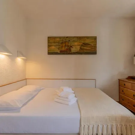 Sud - Jonquilles 116 - Happy *